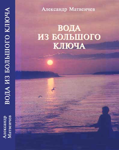 Обложка книги А.В. Матвеичева